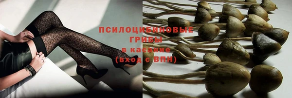 индика Алексеевка