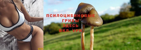 меф Алзамай