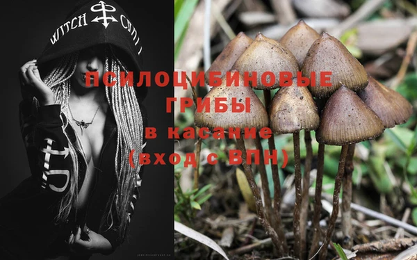 меф Алзамай