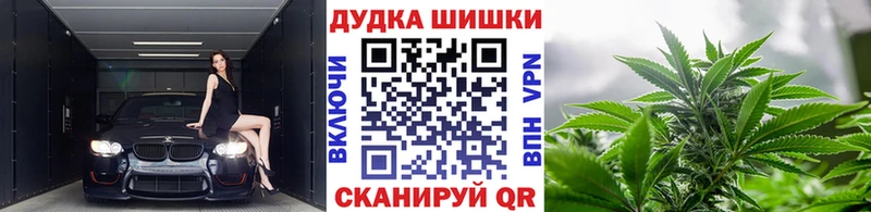 Бошки марихуана сатива  Ясный 